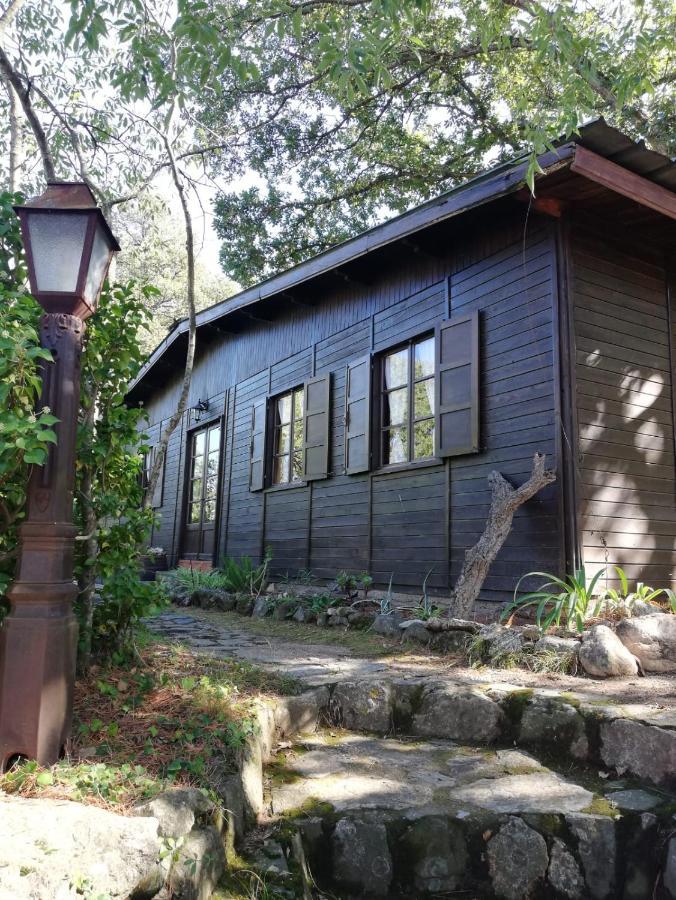 Mas Senyarich Villa Argelès-sur-Mer Exterior foto