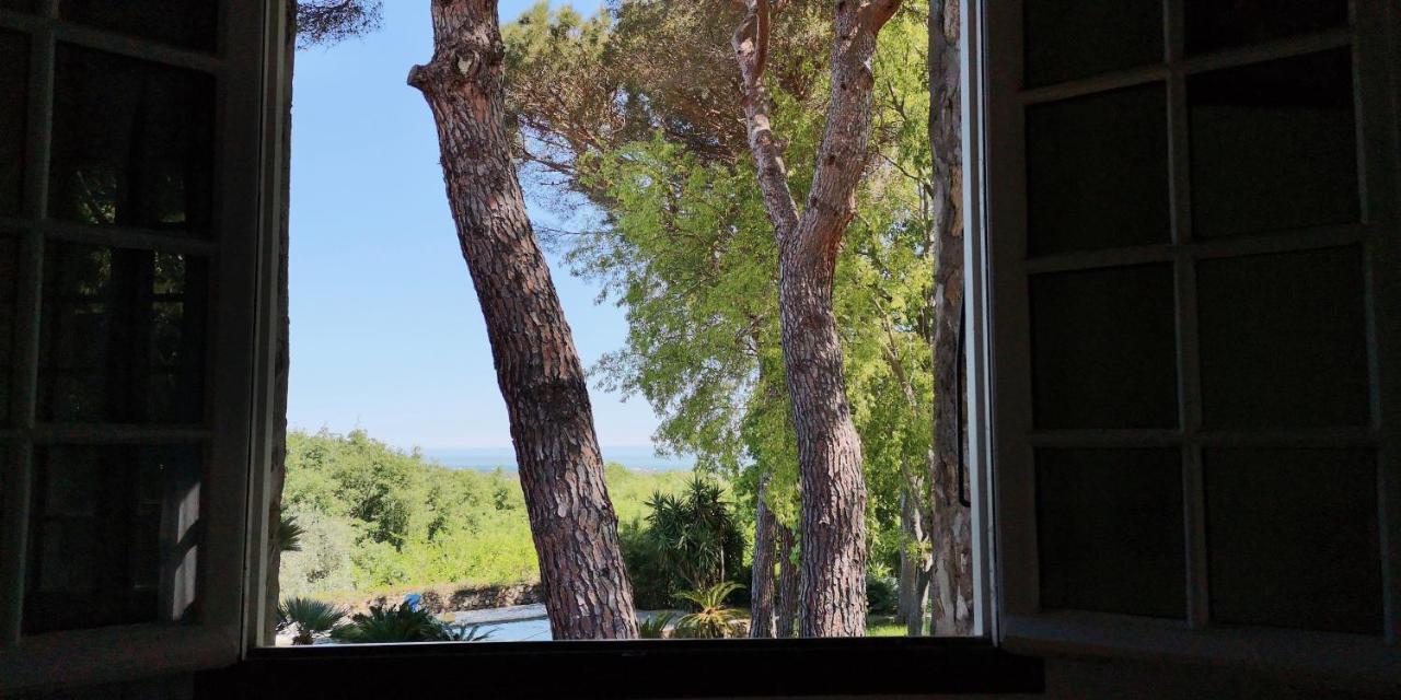 Mas Senyarich Villa Argelès-sur-Mer Exterior foto
